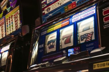 Golden Toad slot game interface on paito sydny